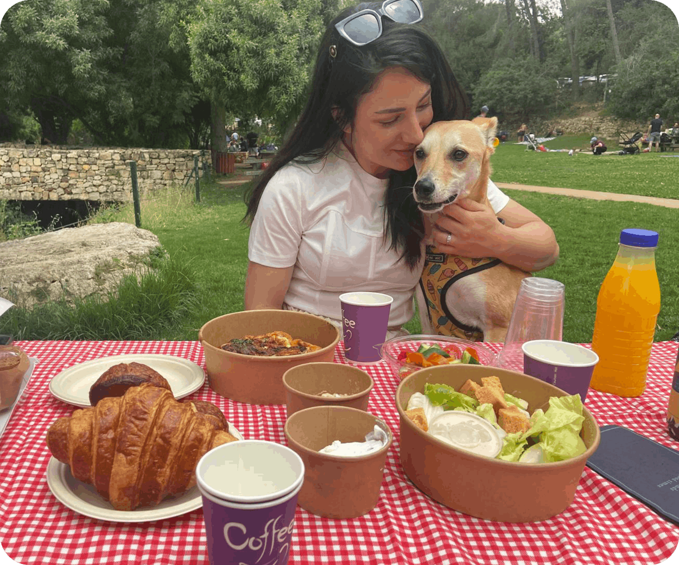 צוות מתנדבים